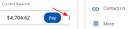 Loan PayOff Access Screenshot